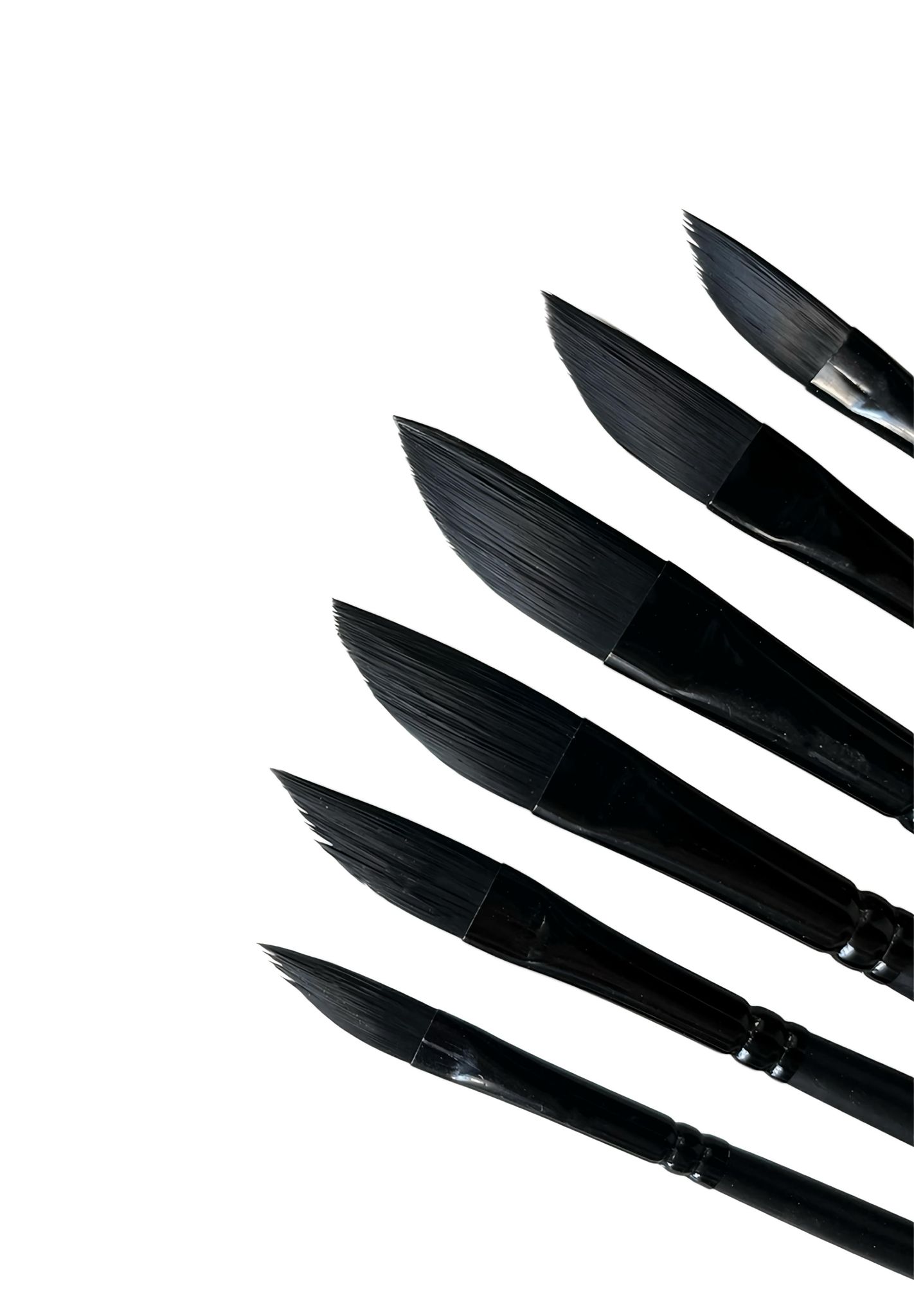 Yan Kesim  6 'lı  Set Fırça Seti 